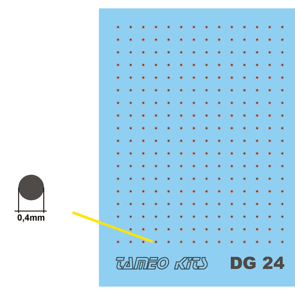 DG 24