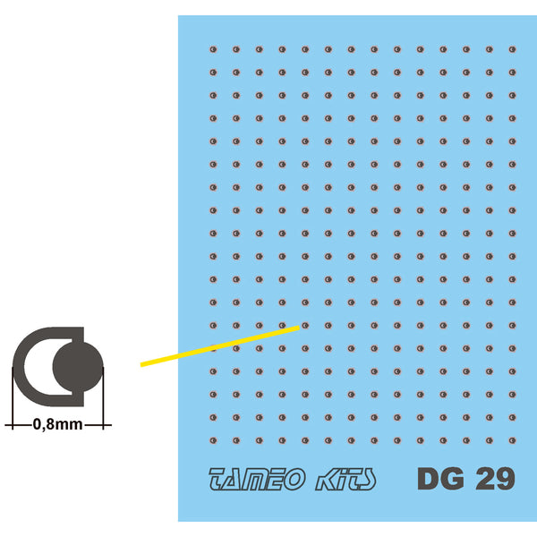DG 29