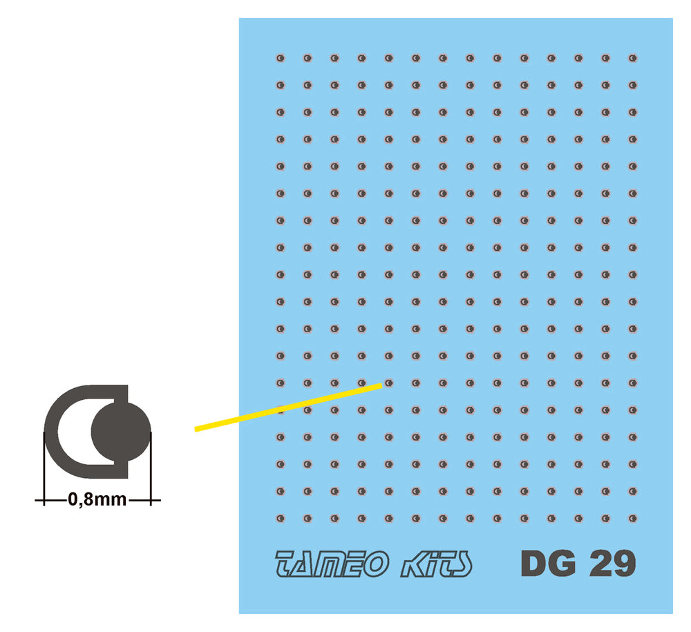 DG 29